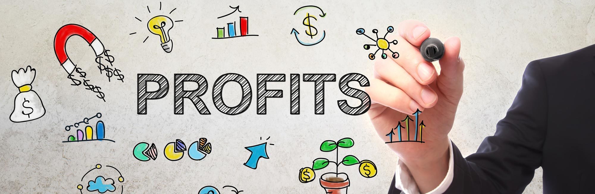 Financial Accounting Hamilton Small Business Advice Waikato